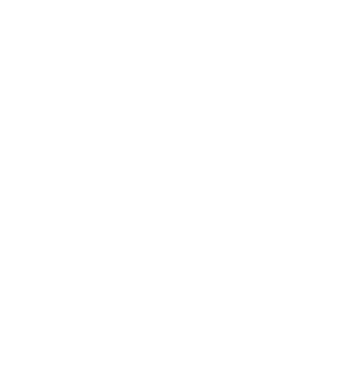 FOCUS palace